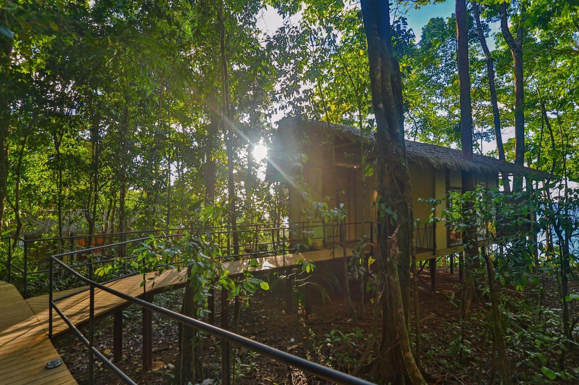 San Pedrillo Corcovado Wilderness Lodge By Scp מראה חיצוני תמונה
