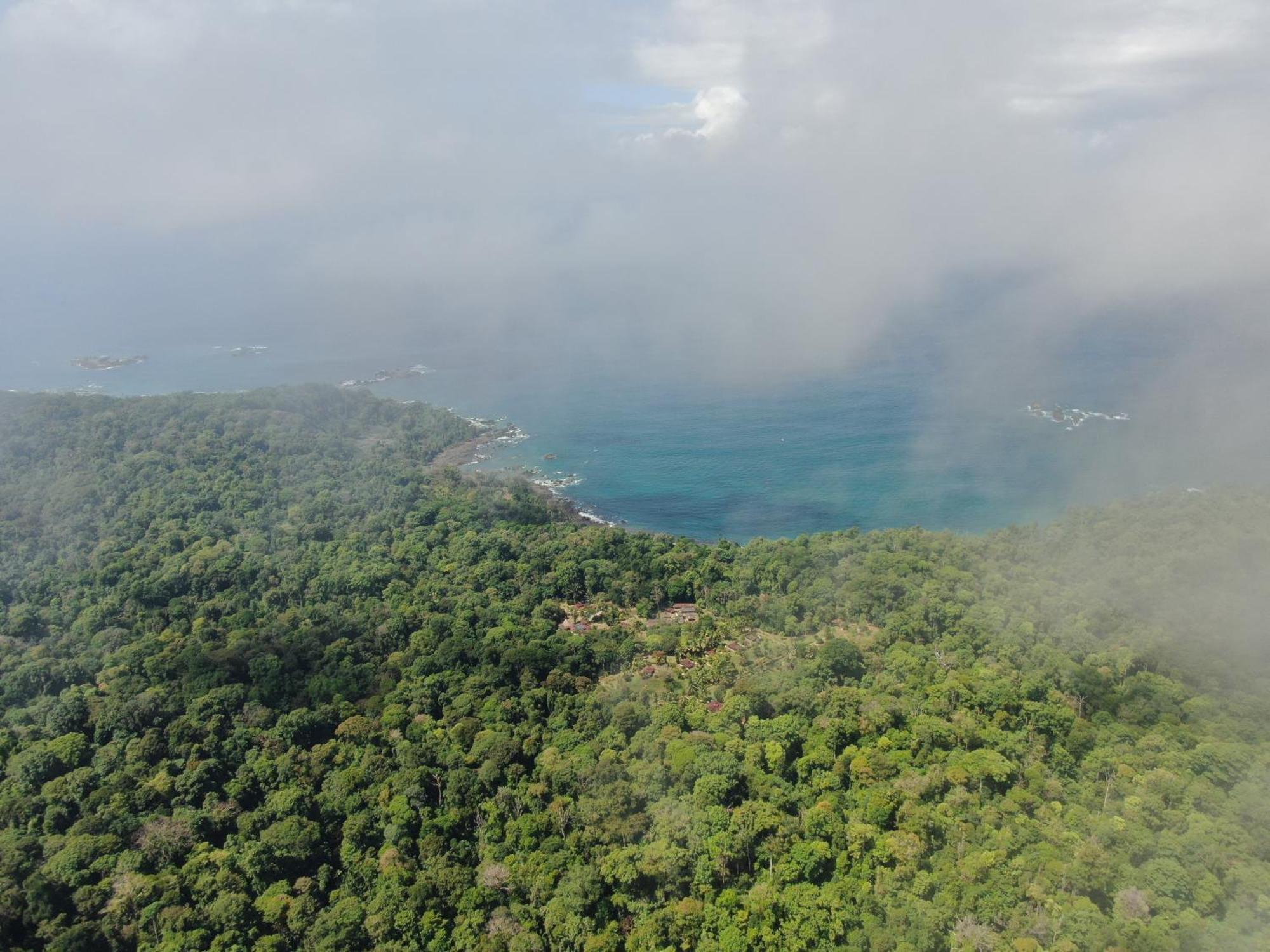 San Pedrillo Corcovado Wilderness Lodge By Scp מראה חיצוני תמונה