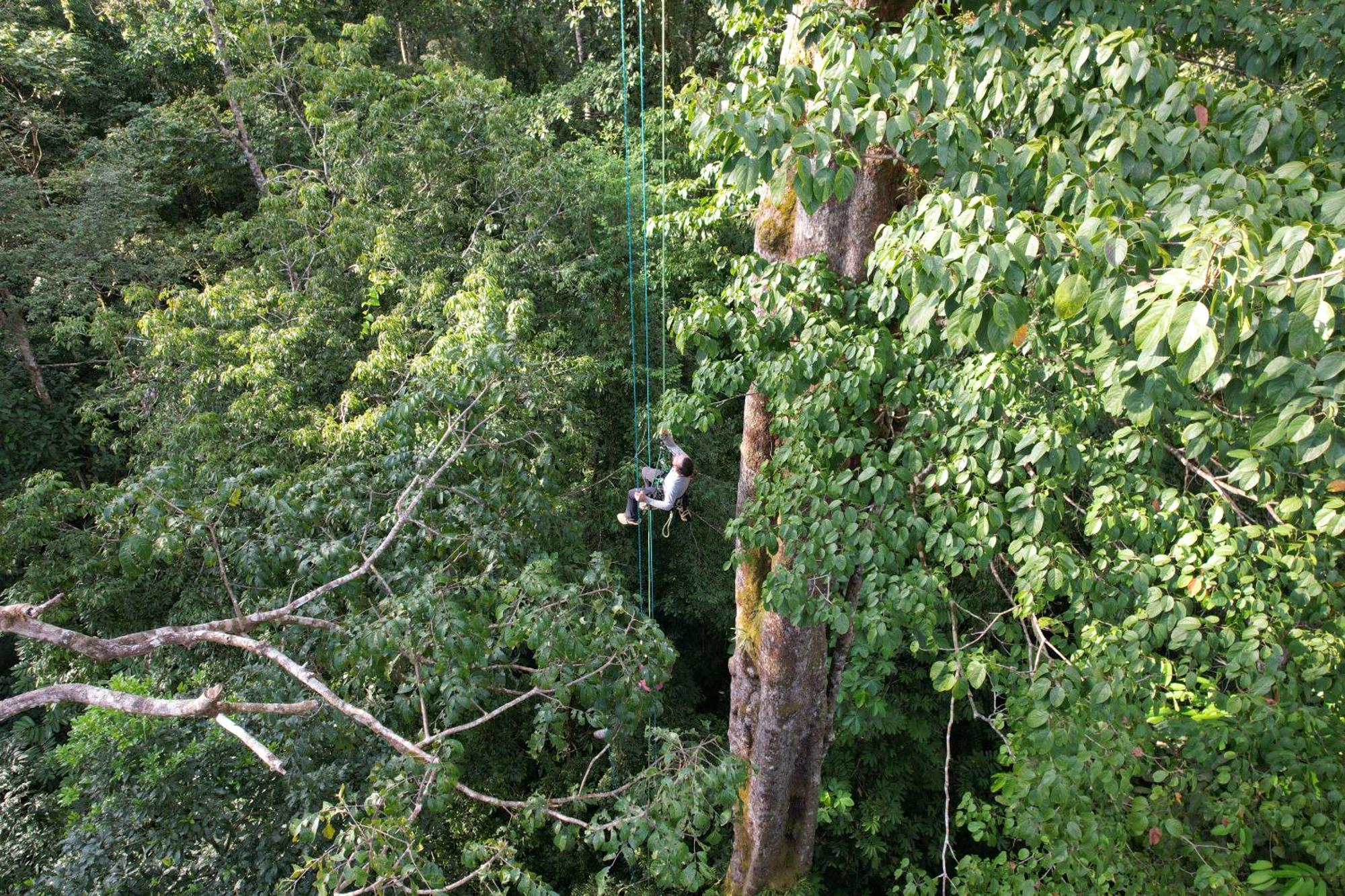 San Pedrillo Corcovado Wilderness Lodge By Scp מראה חיצוני תמונה